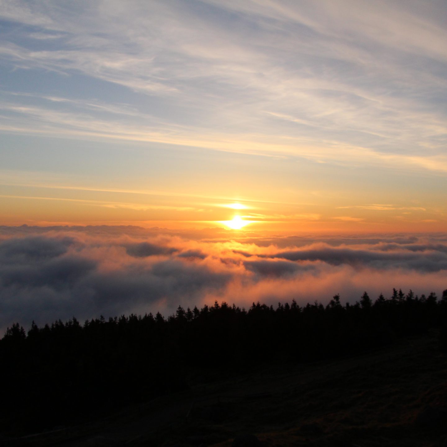 Eine Wanderung zum Brocken