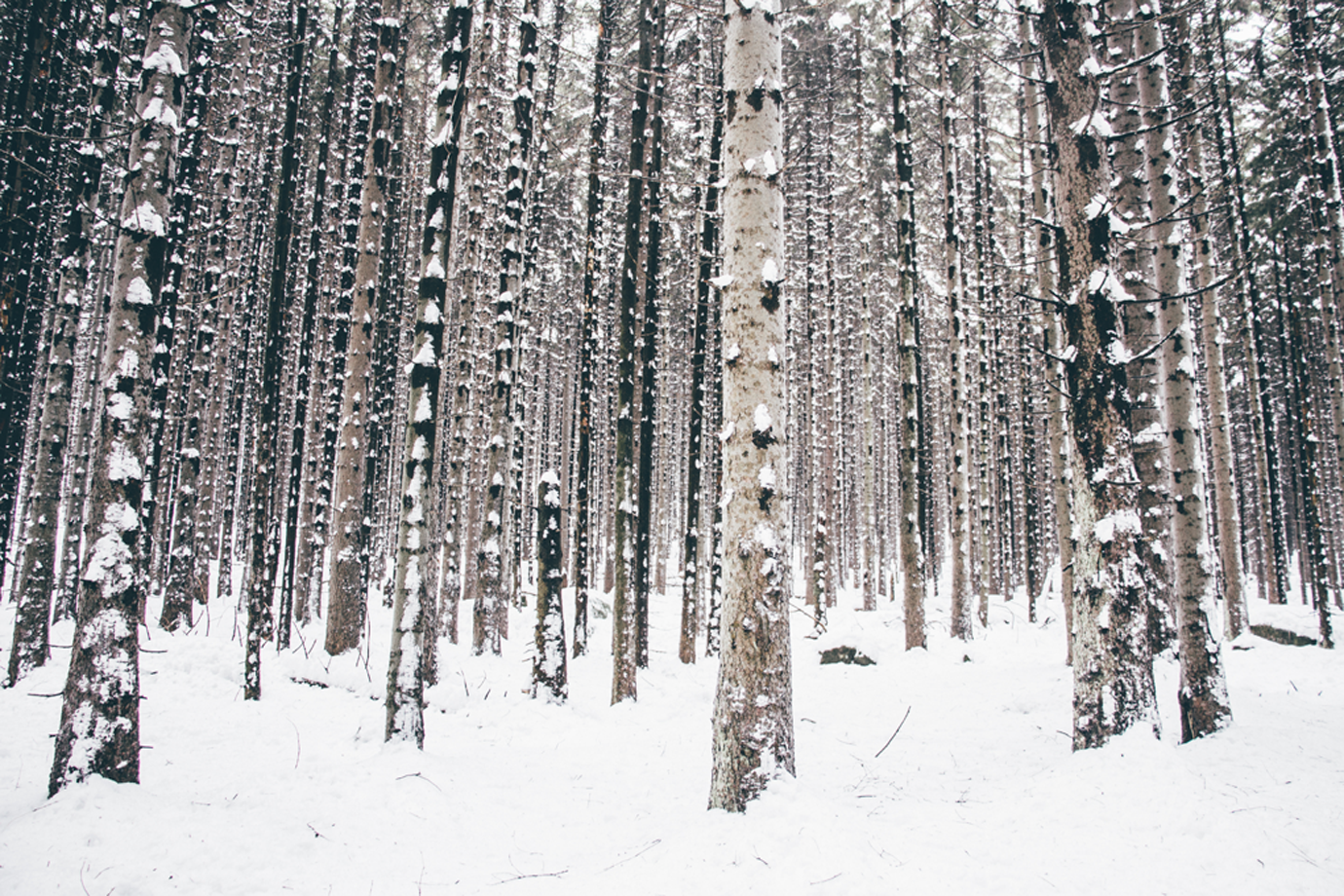 3 Winteraktivitäten im Harz