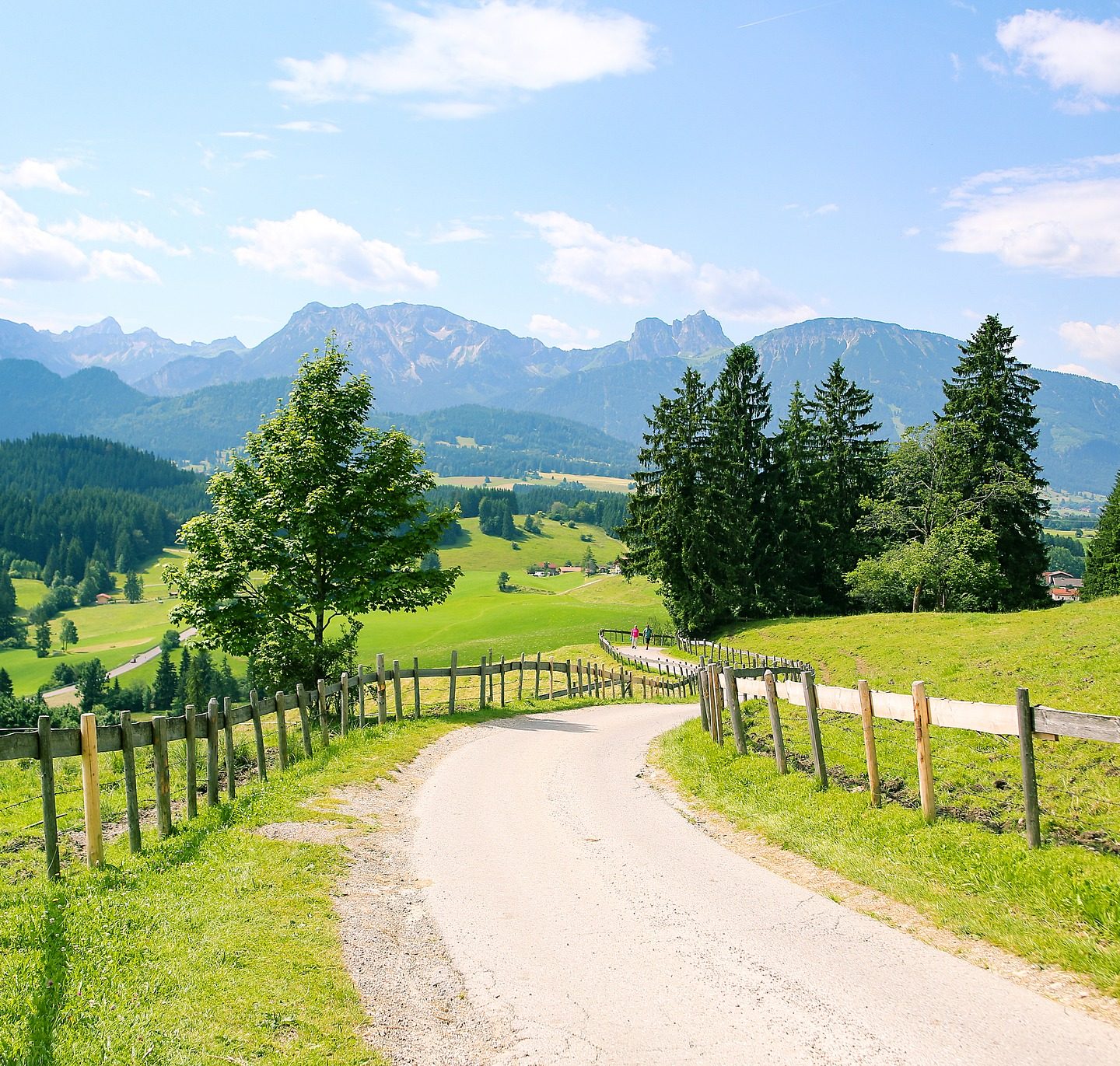 Alpsee Bergwelt