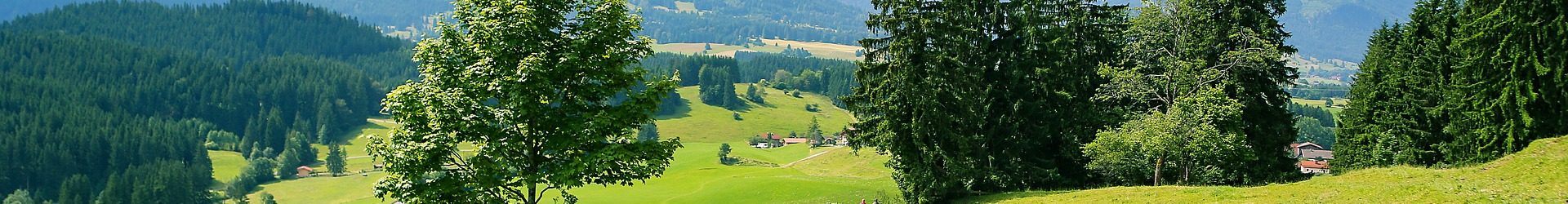 Alpsee Bergwelt