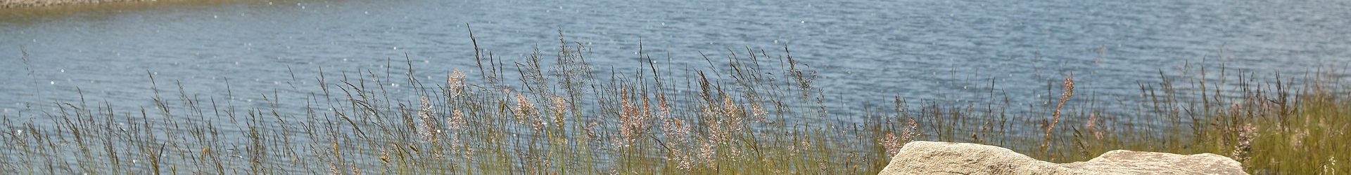 Harz Wanderung: Zu den schnarchenden Klippen