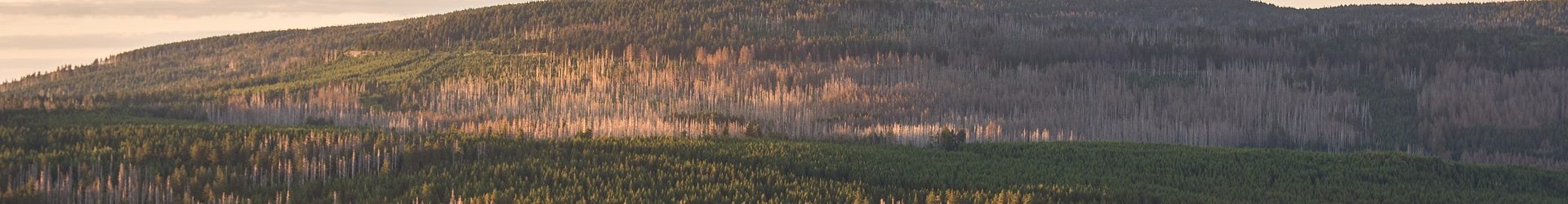 Harzausflug: Wanderung zu den Rabenklippen